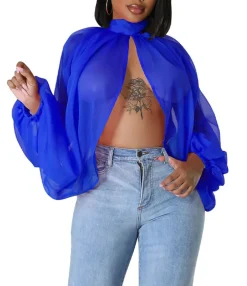 Bat Long Sleeve Chiffon Blouse