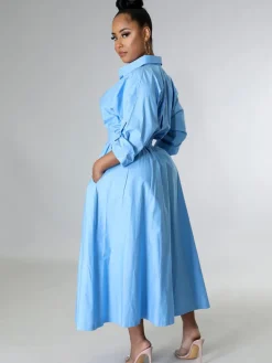 Long Sleeve Solid Color Bodycon Maxi Dress