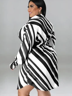 Long Sleeve Striped Mini Dress With Belt