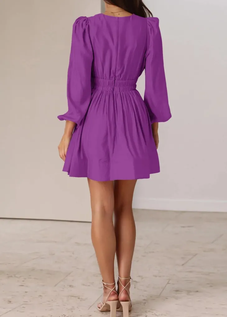 Long Sleeve V Neck Mini Dress