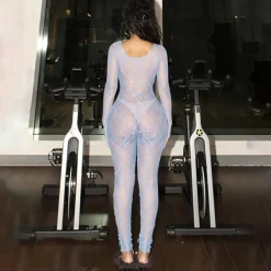Mesh Long Sleeve Bodycon Jumpsuit