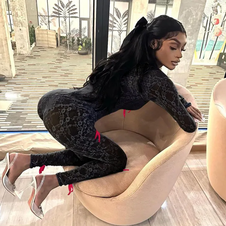 Mesh Long Sleeve Bodycon Jumpsuit