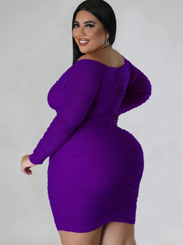 Mesh Patchwork Ruched Plus Size Mini Dress