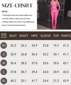 Two Piece Mesh Long Sleeve Crop Top Pants