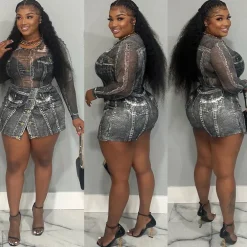 Two-Piece Printed Mesh Top Skirt Set
